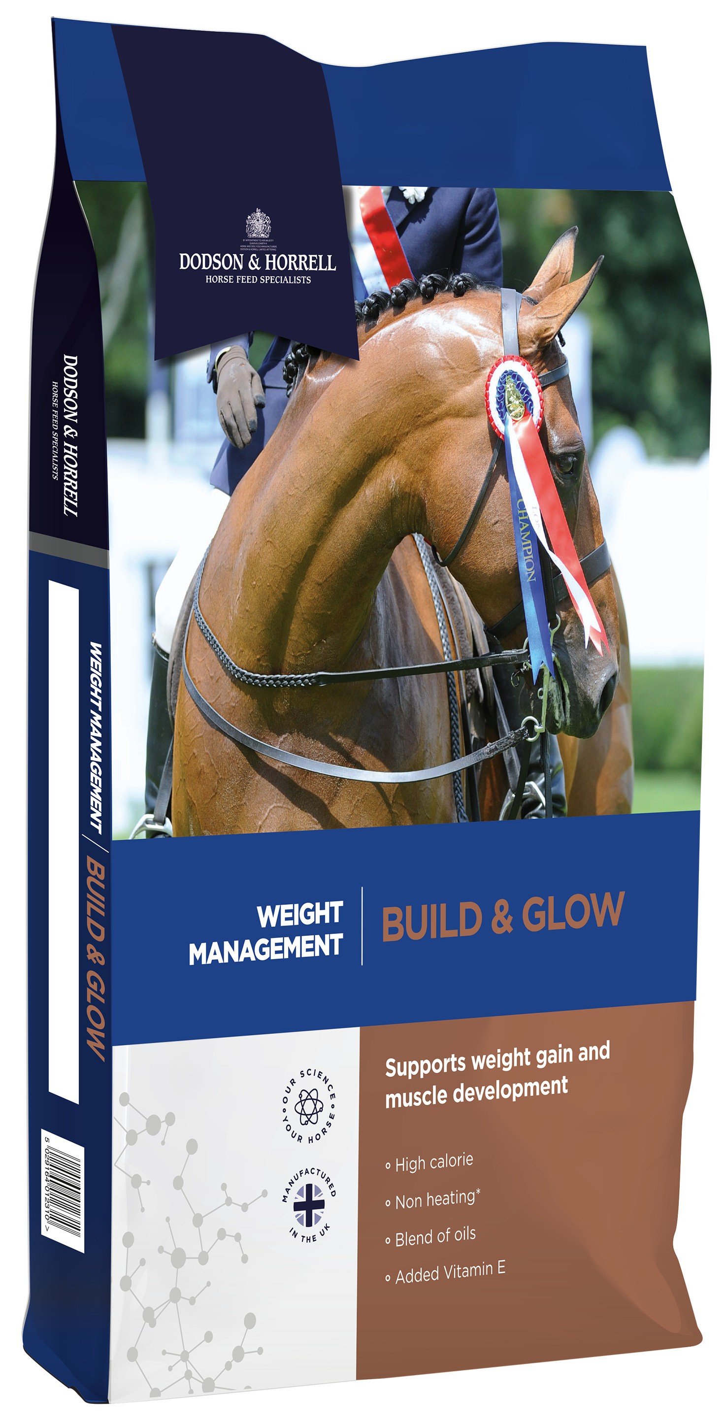 Build & Glow