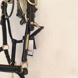 Lederhalfter Full Mokka mit Goldbeschlag