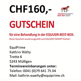 EQUUSIR BEST BOX Gutschein Erst-Scan & Behandlung 60 Min.