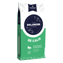 Be Calm Balancer