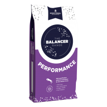 Performance Balancer