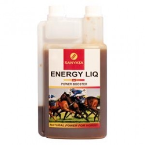 Energy Liq 500ml